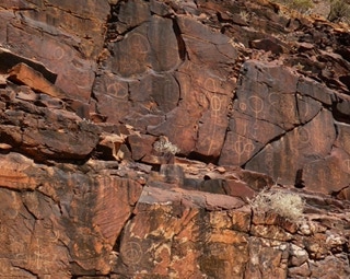 Flinders Ranges Day Tours